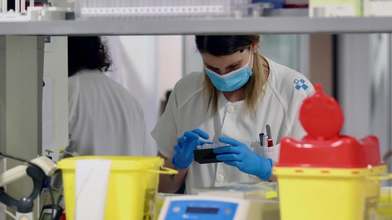 España roza los dos millones de PCR realizados desde el inicio de la pandemia. EFE