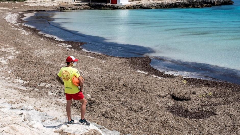 Un socorrista en una playa de Menorca durante este pasado domingo./ David Arquimbau Sintes (EFE)