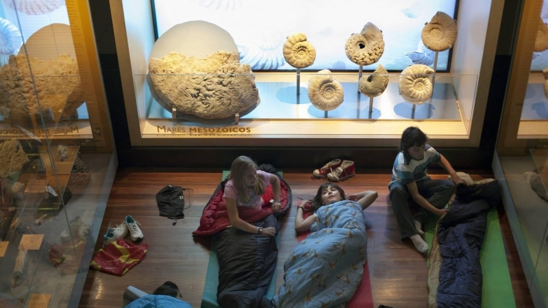 Imagen tomada en 2013 en el Museo Nacional de Ciencias Naturales de Madrid, donde niños y niñas podían pasar una noche. / Olmo Calvo / SINC