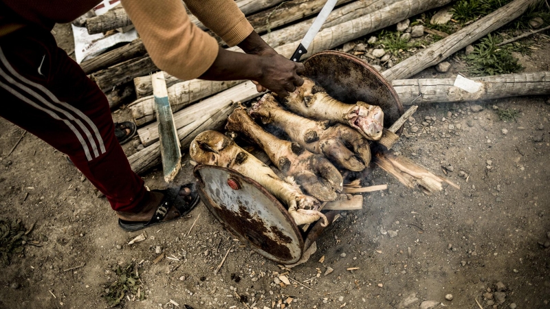 Un hombre africano cocina pezuñas de vaca en una lata de aceite oxidada junto a su cabaña en Níjar, Almería, el pasado abril. Las comunidades de migrantes luchan por obtener alimentos durante el estado de alarma que les impide moverse y trabajar. JAVIER F