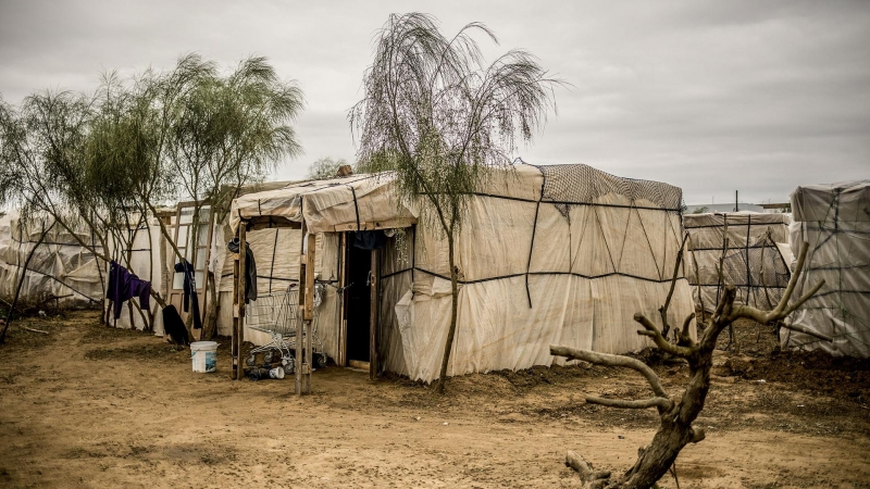 Una chabola construida con con madera, plástico y cartón en un asentamiento de migrantes en Lepe, Huelva.- JAVIER FERGO