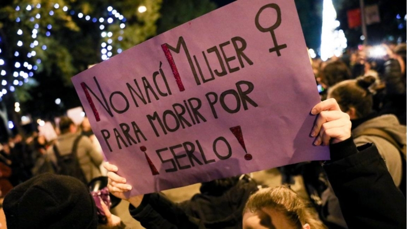 Una mujer ssotiene una pancarta en la que se lee 'No nací mujer para morir por serlo', en la manifestación en Madrid con motivo del Día Internacional para la Eliminación de la Violencia contra las Mujeres. Europa Press / Archivo