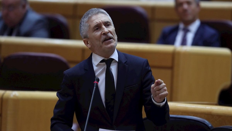 El ministro de Interior Fernando Grande Marlaska durante su comparecencia en el Senado./ Kiko Huesca (EFE)