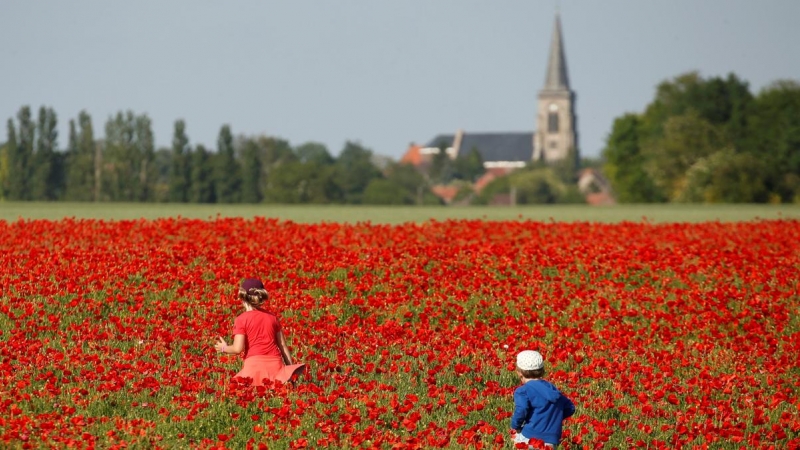 Dos niños juegan en un campo de amapolas en Aubigny-au-Bac, cerca de Cambrai, Francia.- REUTERS / Pascal Rossignol