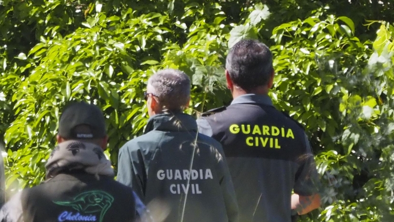 Agentes del Seprona buscan cocodrilo en el Pisuerga. / EUROPA PRESS