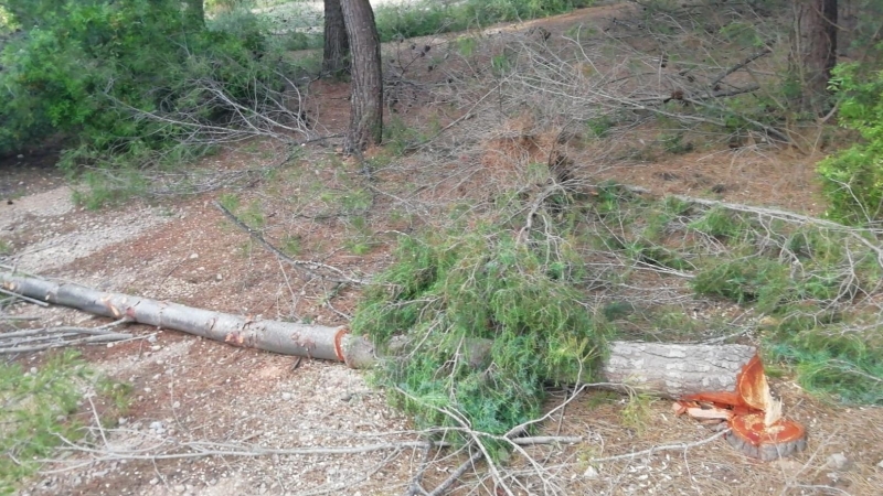 Acciones denunciadas por los movimientos ecologistas. / SALVEM LA RENEGÀ