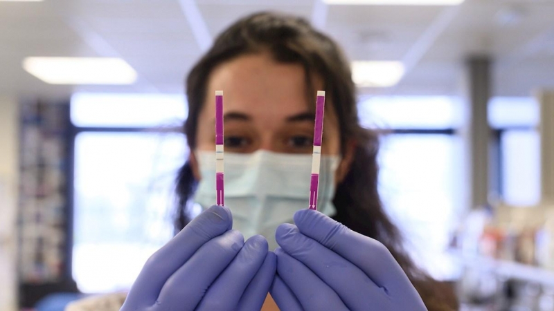 12/0/2020.- Miembros del laboratorio del grupo internacional Eurofins realizan test para detectar el Covid-19, este viernes en Madrid. / EFE -  Fernando Villar