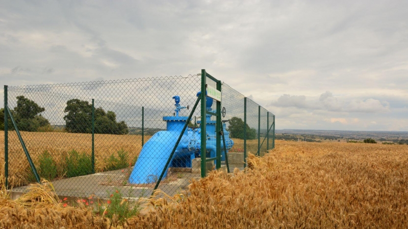 Camp de blat de Les Pallargues (La Segarra), on hi ha instal·lada l'estructura del reg, però no es pot fer servir per la normativa ambiental. FRANCESC REGUANT