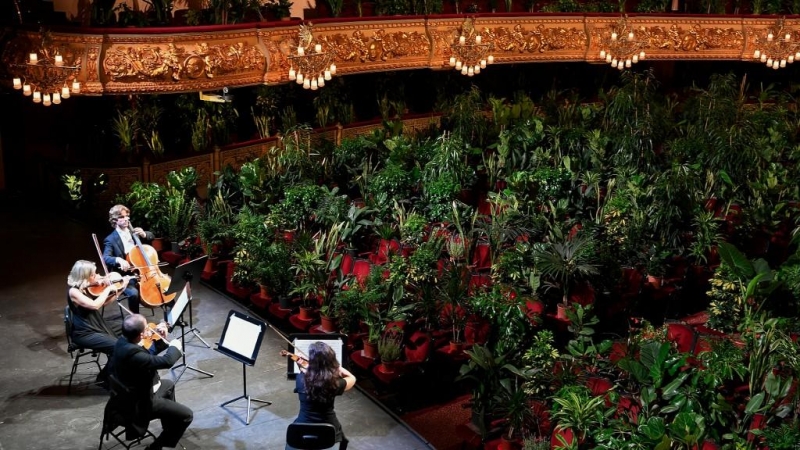 El Cuarteto Uceli se presenta ante una audiencia hecha de plantas durante un concierto creado por el artista español Eugenio Ampudia y que luego se transmitirá para conmemorar la reapertura del Gran Teatro Liceu en Barcelona. LLUIS GENE / AFP