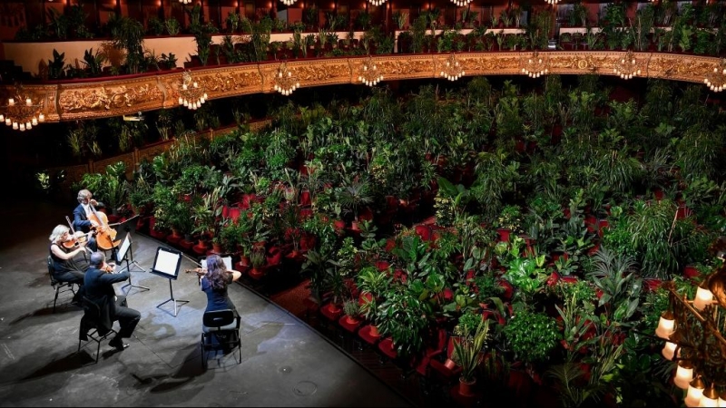 El Cuarteto Uceli se presenta ante una audiencia hecha de plantas durante un concierto creado por el artista español Eugenio Ampudia y que luego se transmitirá para conmemorar la reapertura del Gran Teatro Liceu en Barcelona. LLUIS GENE / AFP