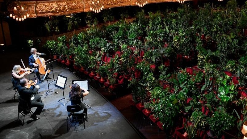 El Cuarteto Uceli se presenta ante una audiencia hecha de plantas durante un concierto creado por el artista español Eugenio Ampudia y que luego se transmitirá para conmemorar la reapertura del Gran Teatro Liceu en Barcelona. LLUIS GENE / AFP