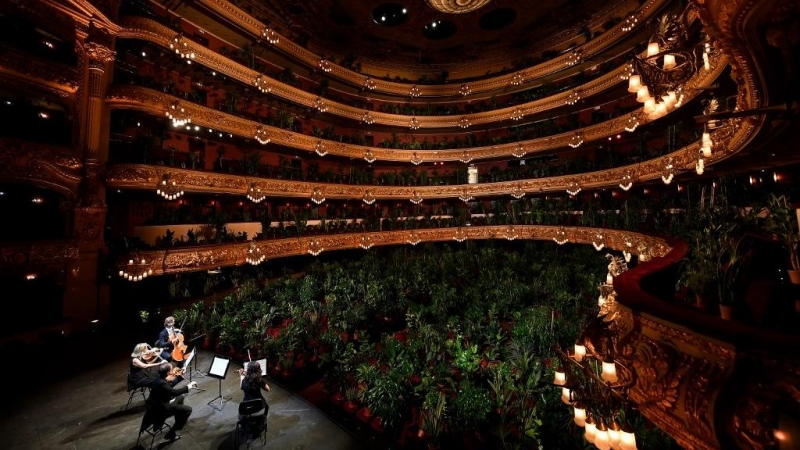 El Cuarteto Uceli se presenta ante una audiencia hecha de plantas durante un concierto creado por el artista español Eugenio Ampudia y que luego se transmitirá para conmemorar la reapertura del Gran Teatro Liceu en Barcelona. LLUIS GENE / AFP