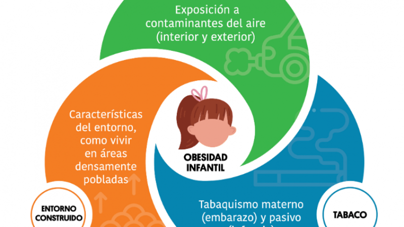 ¿Qué exposiciones ambientales tempranas se relacionan con más riesgo de obesidad infantil? / Infografía de ISGlobal