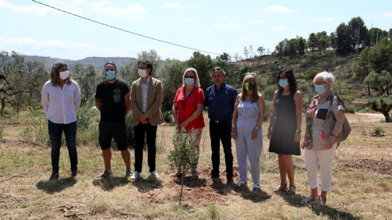 Els vuit alcaldes afectats per l'incendi de la Ribera d'Ebre davant d'unes de les oliveres plantades en l'acte de commemoració del primer aniversari de l'incendi.