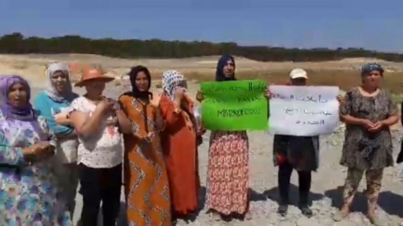 La petición de ayuda de las temporeras marroquíes de Huelva para volver a su casa