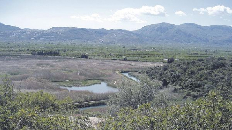 Imatge dels terrenys on es projecte el camp de golf de Pego.