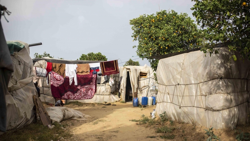 Chabolas de trabajadores migrantes en un asentamiento de Lepe, julio de 2020.- JAIRO VARGAS