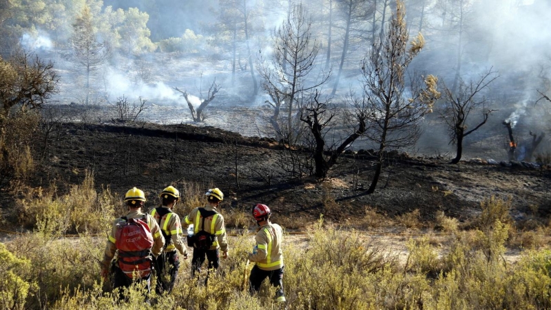 Uns bombers es dirigeixen a la zona calenta de l’incendi a Cervià de les Garrigues el 7 de setembre de 2019. Oriol Bosch | ACN
