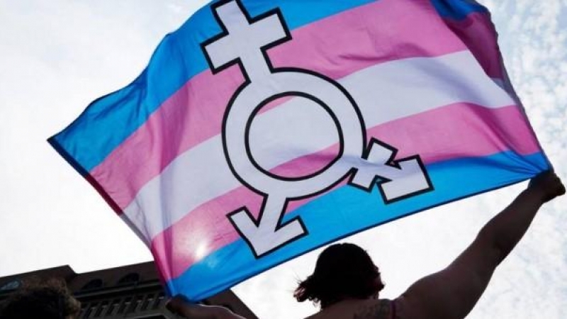 Una persona sujeta una bandera trans y género neutro durante una manifestación en Berlín. | EFE