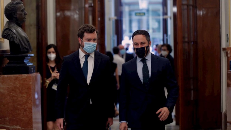 El líder de Vox, Santiago Abascal, y el diputado de la formación Iván Espinosa de los Monteros, a su llegada este miércoles al pleno del Congreso. - EFE/ Emilio Naranjo