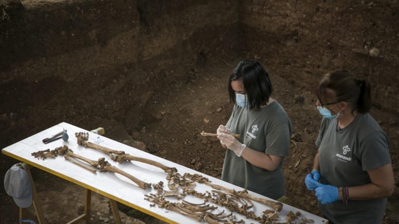 Personal técnico trabajando en la exhumación de la fosa común de Pico Reja, una de las mayores fosas del franquismo, ubicada en el cementerio de San Fernando, en Sevilla. María José López / Europa Press