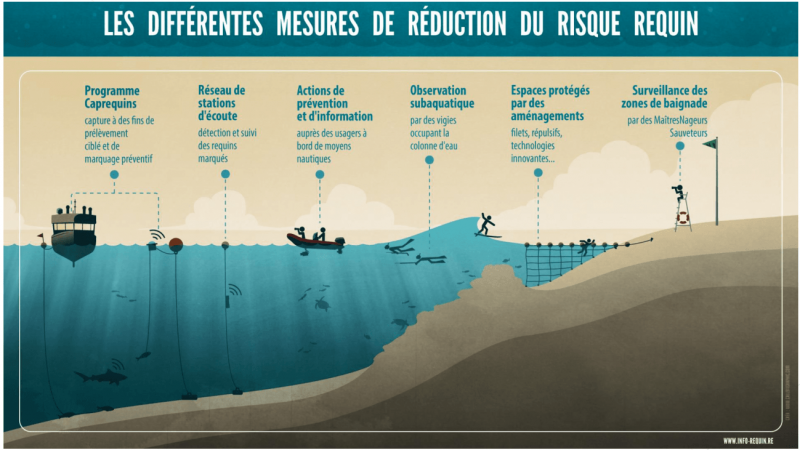 Diferentes medidas de prevención y protección desarrolladas y habilitadas en las costas de La Reunión a lo largo de la última década. / www.info-requin.re