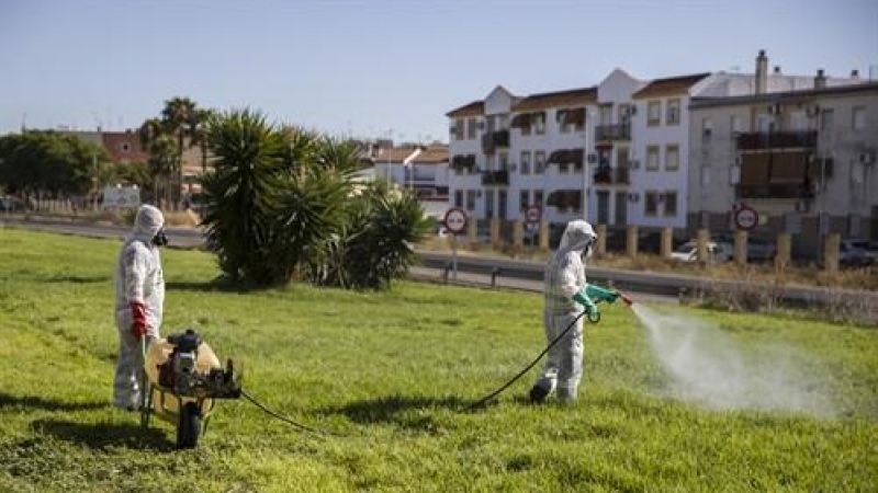 Dos trabajadores durante las labores de fumigación contra los mosquitos causantes del virus del Nilo en Coria del Río / María José López / Europa Press