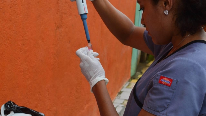 El artículo confirma la acción de anticuerpos con reactividad cruzada entre estos dos flavivirus. / Nica Barrio y Lab. | Paolo Harris Paz