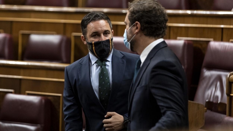 El presidente y el portavoz de Vox, Santiago Abascal e Iván Espinosa de los Monteros, charlan antes del inicio de una sesión plenaria en el Congreso. E.P./Pool