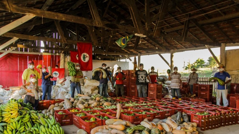 El MST ha donado miles de toneladas de alimentos procedentes de sus explotaciones por todo Brasil durante esta época de pandemia. MST.