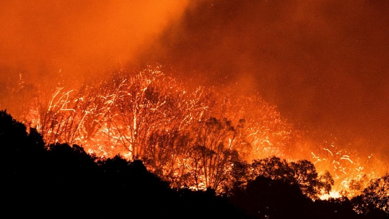 Vista del fuego declarado en Shaver Lake en el bosque nacional de Sierra en California, Estados Unidos este martes. El estado de California vivió este fin de semana largo su segunda oleada de incendios del verano, en medio de una ola de calor en que se ha