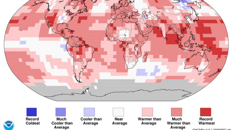 Temperatura terrestre y oceánica en agosto de 2020. / NOAA