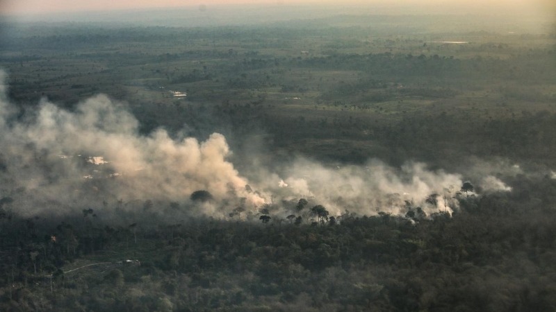 27/08/2020 .-Incendios intencionados en las proximidades de Rio Branco, capital del estado brasileño de Acre, cerca de las fronteras con Perú y Bolivia. SÉRGIO VALE/ AMAZÔNIA REAL.