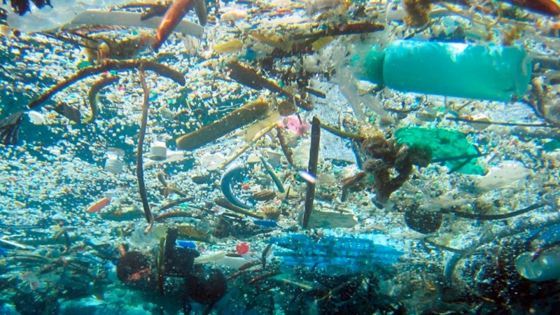 Plásticos en las profundidades de mares y océanos / EFE