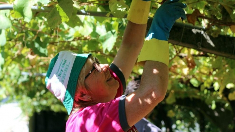 La mujer realiza labores de poda, labranza y recogida de leña y de fruta / ALBA TOMÉ