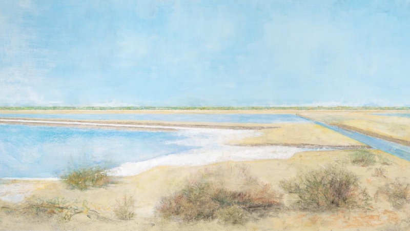 'La Sal, Salinas de Bonanza, Sanlúcar de Barrameda', de Carmen Laffón.- CAAC