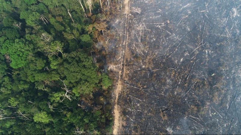 Imagen de los efectos de los incendios forestales en la Amazonia. REUTERS