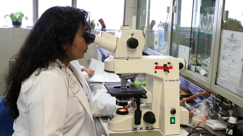 Técnica de laboratorio frente a un microscopio. / PIXABAY