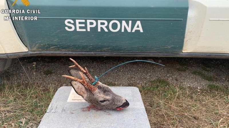 Investigan a un furtivo de Cantabria por cazar un corzo en el parque natural 'La Montaña Palentina'