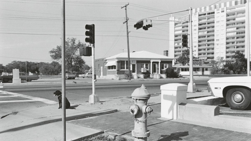 Lee Friedlander.- FUNDACIÓN MAPFRE