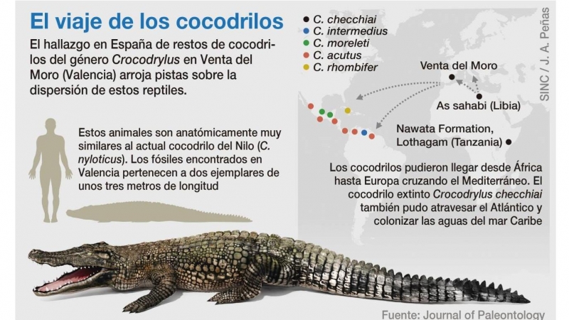 Mapa del viaje de los cocodrilos. / Journal of Paleontology