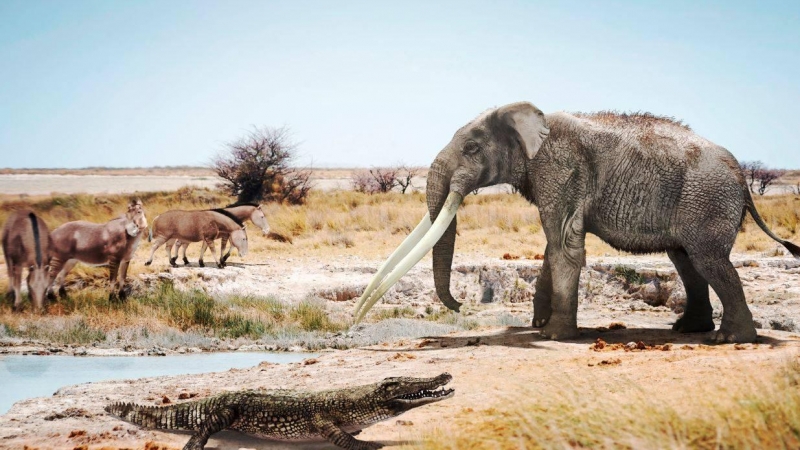 Un cocodrilo junto a un mastodonte del género Anancus y caballos primitivos del género Hipparion en un ambiente similar a lo que pudo ser Valencia hace seis millones de años. / José Antonio Peñas (SINC)