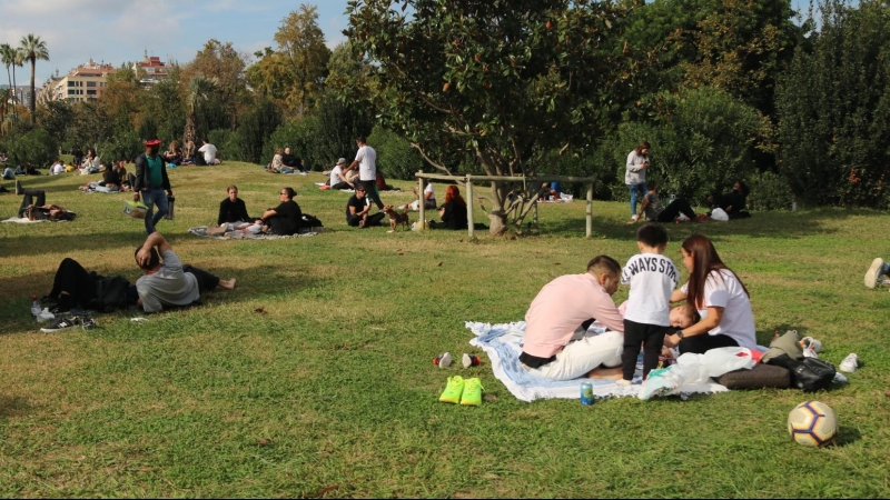 Grups de persones fent pícnics al Parc de la Ciutadella aquest diumenge. ACN