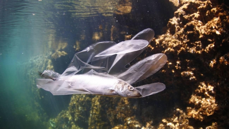 Más de un millón de toneladas de plástico se han acumulado ya en el mar Mediterráneo.