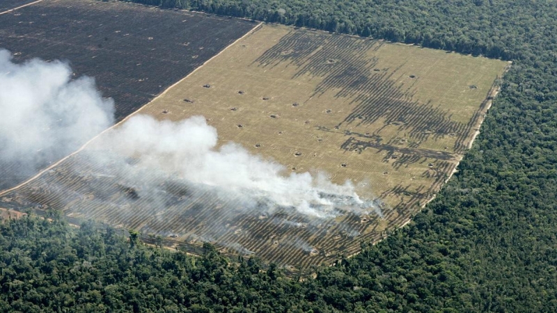 Vista aérea de la deforestación de la Amazonia