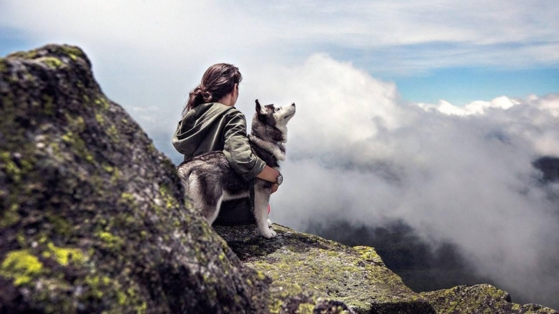 Según este estudio, el origen del perro habría tenido lugar hace 20.000 años.