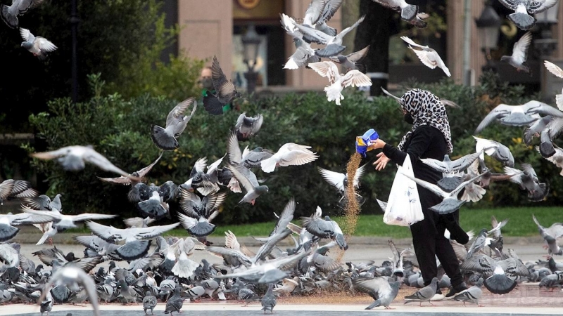 Una mujer alimenta palomas en el centro de Barcelona, este miércoles