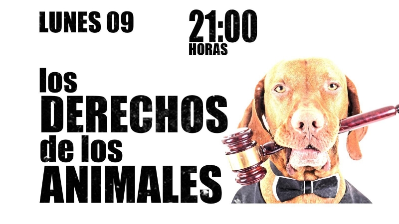 'Los derechos de los animales' - En la Frontera, 9 de noviembre de 2020