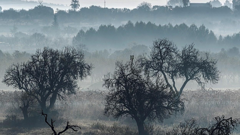 La niebla se extiende en las inmediaciones de Manacor.