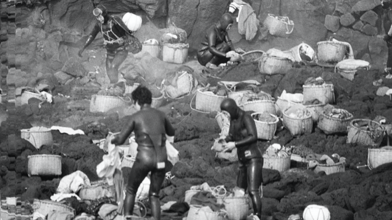 Mujeres buceadoras de Jeju, en 1974.